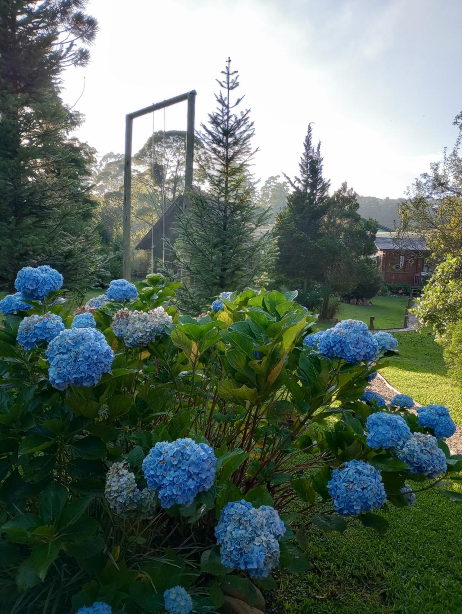 מלון קמפו אלגרה Casa De Toras מראה חיצוני תמונה